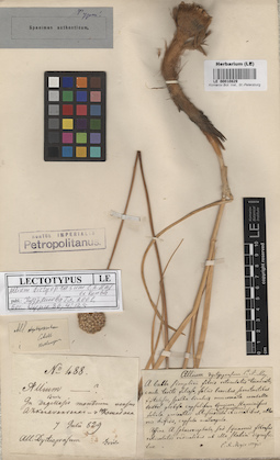 LE 00010829