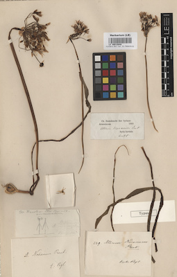LE 00010848