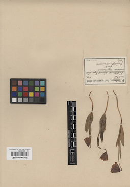 LE 00010870