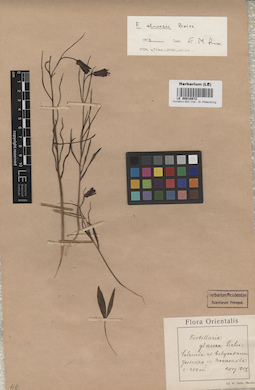 LE 00010872