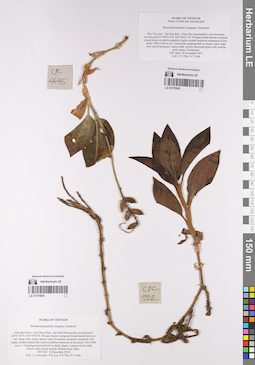 LE 01075859
