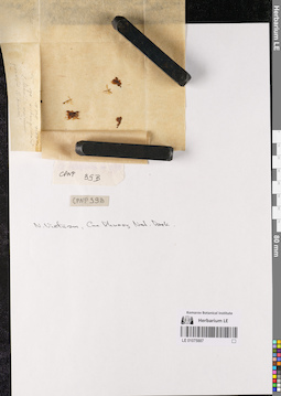 LE 01075887