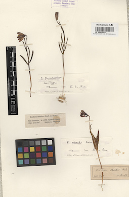 LE 00010875