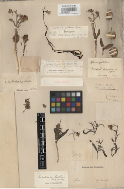 LE 00010876