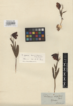 LE 00010878