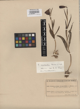 LE 00010884