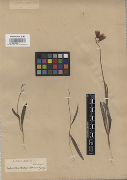 LE 00010886