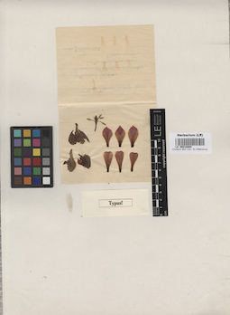 LE 00010894