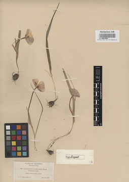 LE 00010901