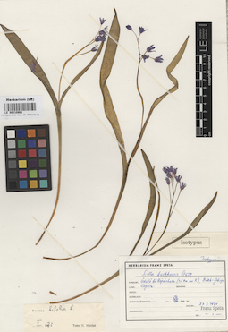LE 00010906