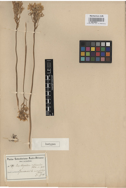 LE 00010922