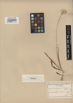 LE 00010923