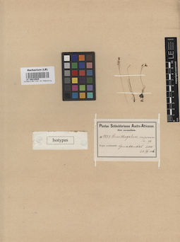 LE 00010925