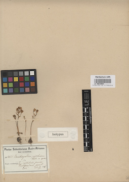 LE 00010926