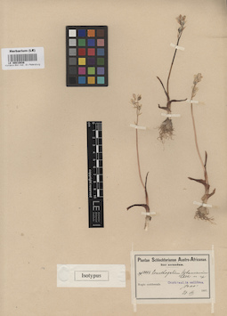 LE 00010936