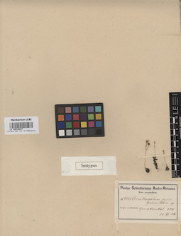 LE 00010937