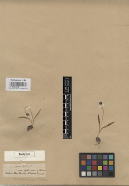 LE 00010946