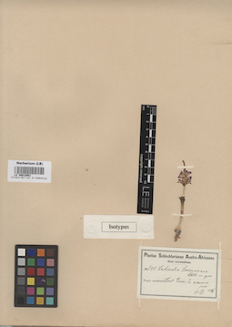 LE 00010951