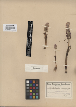 LE 00010954
