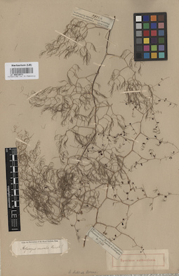LE 00010973