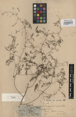 LE 00010980