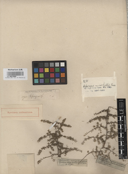 LE 00010985
