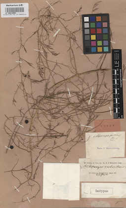 LE 00010990