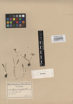 LE 00011022