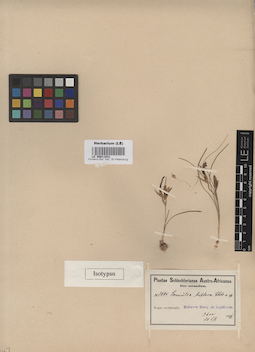 LE 00011031