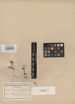 LE 00011037