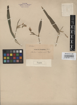 LE 00011045