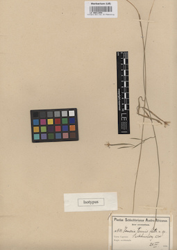 LE 00011054