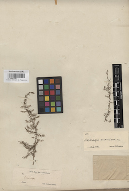 LE 00011057