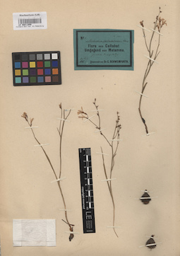LE 00011059