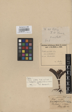 LE 00011072