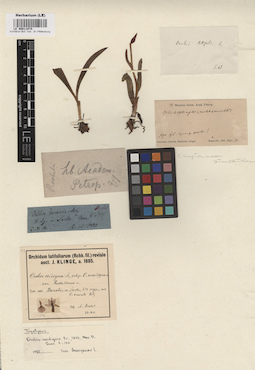 LE 00011074