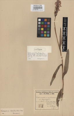 LE 00011084