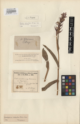 LE 00011085