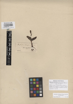 LE 00011107