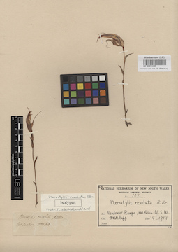 LE 00011126