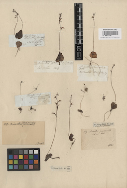 LE 00011129