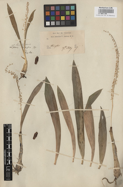 LE 00011160