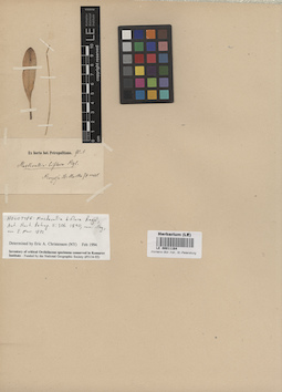 LE 00011164