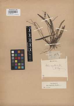 LE 00011170