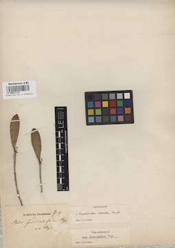LE 00011173