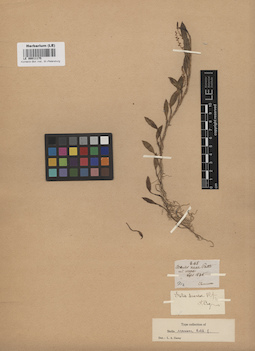 LE 00011175
