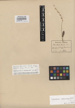 LE 00011186