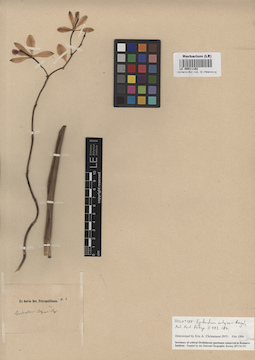 LE 00011192