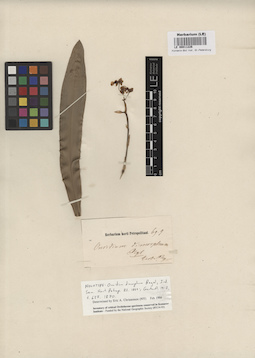 LE 00011226