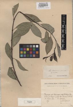 LE 00011254